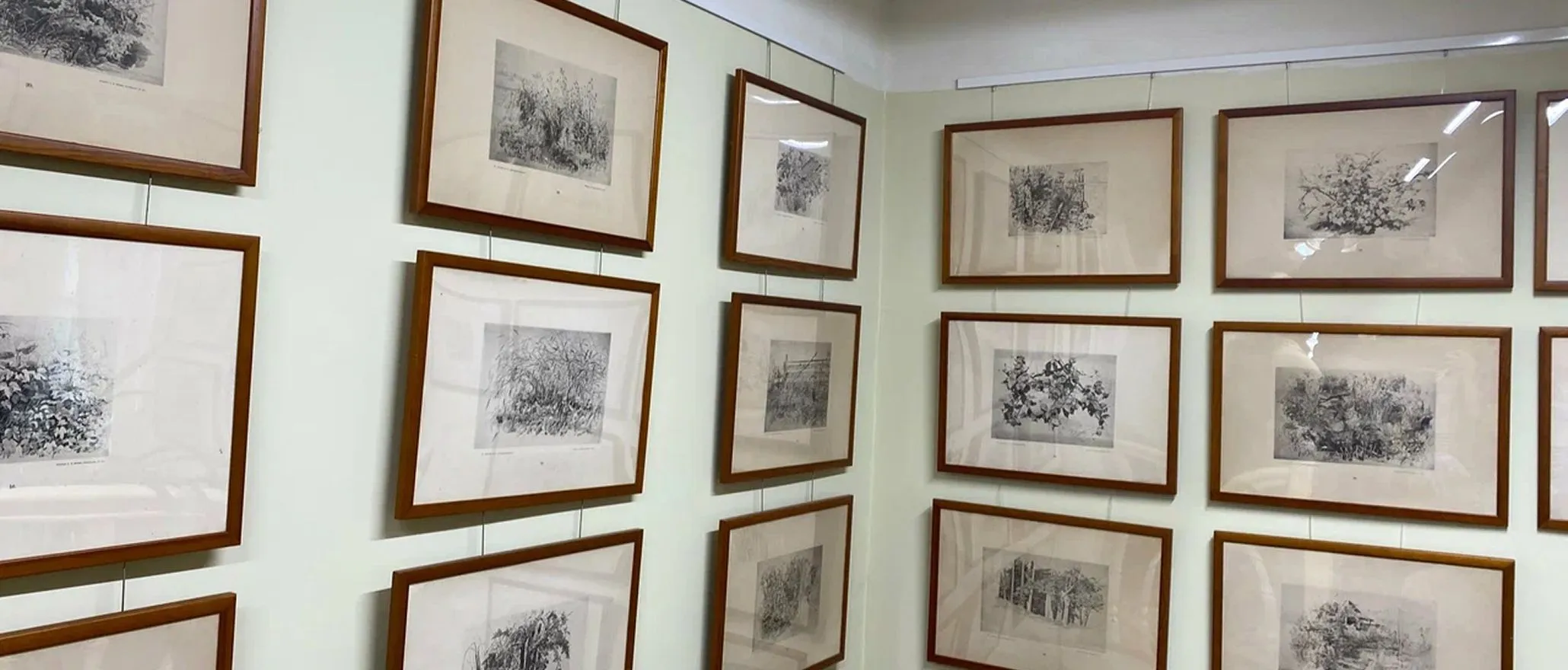 Дом-музей И.И. Шишкина&nbsp;5