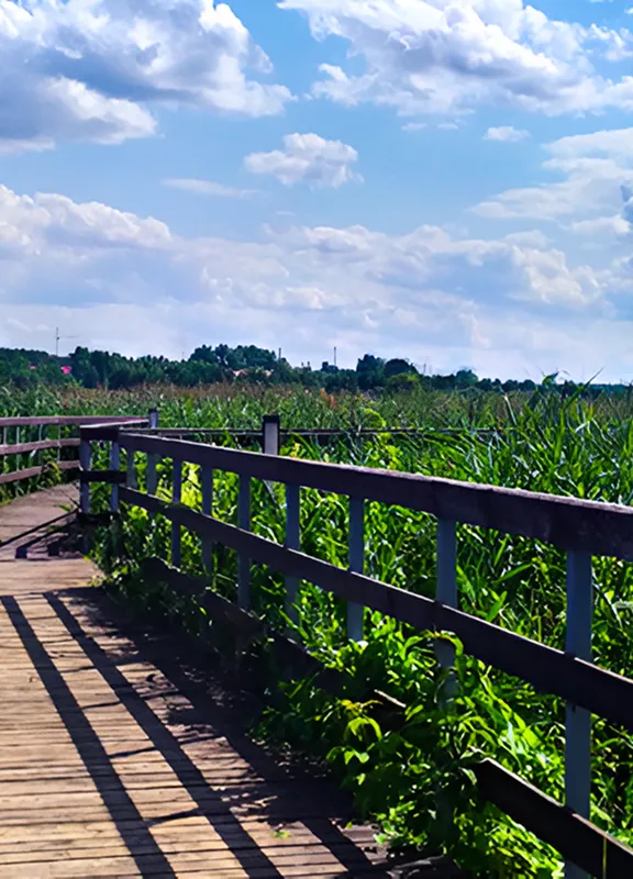 Набережная им. Габдуллы Тукая