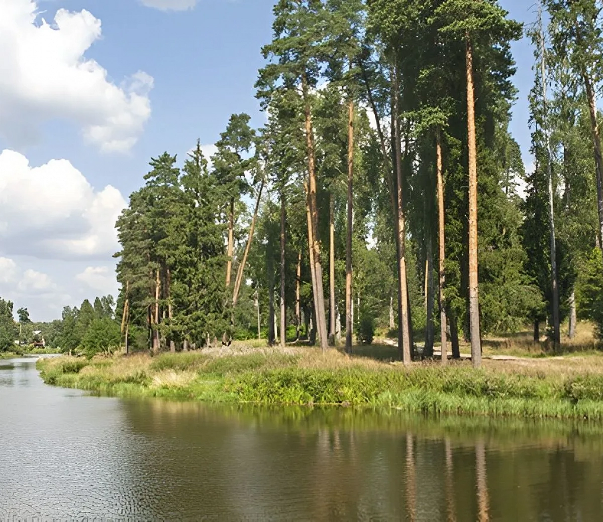 Корабельная роща&nbsp;1