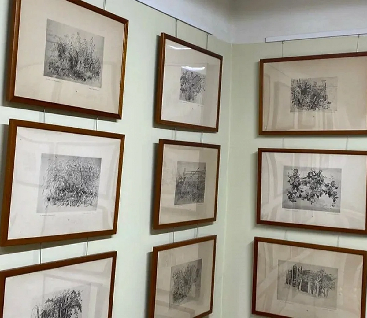 Дом-музей И.И. Шишкина&nbsp;5